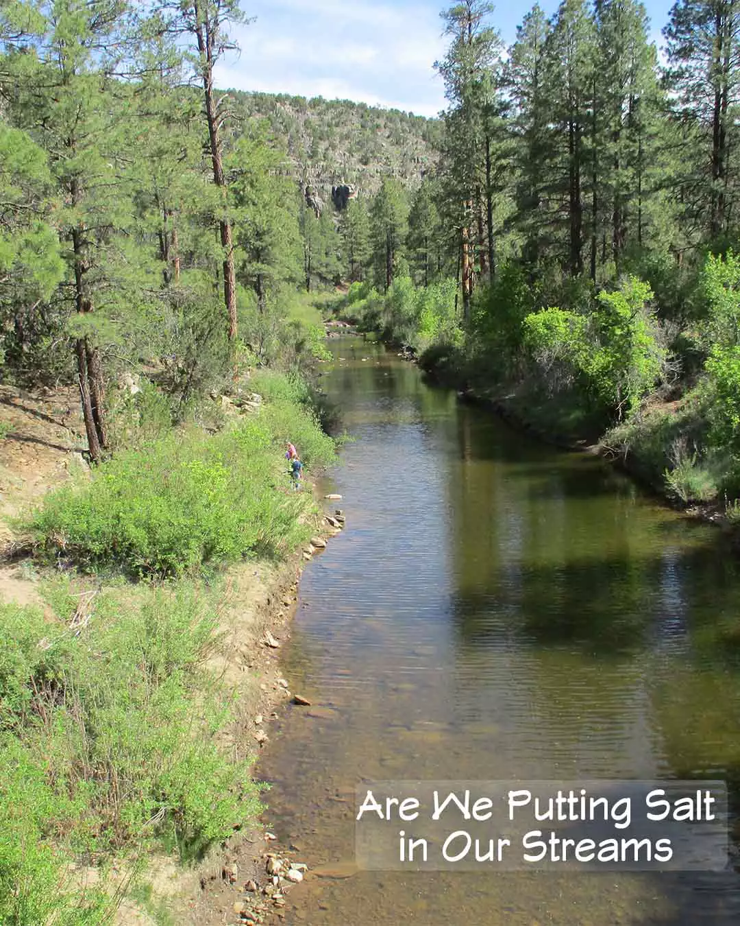 Salt from Water Softeners getting in Our Streams & Waterways