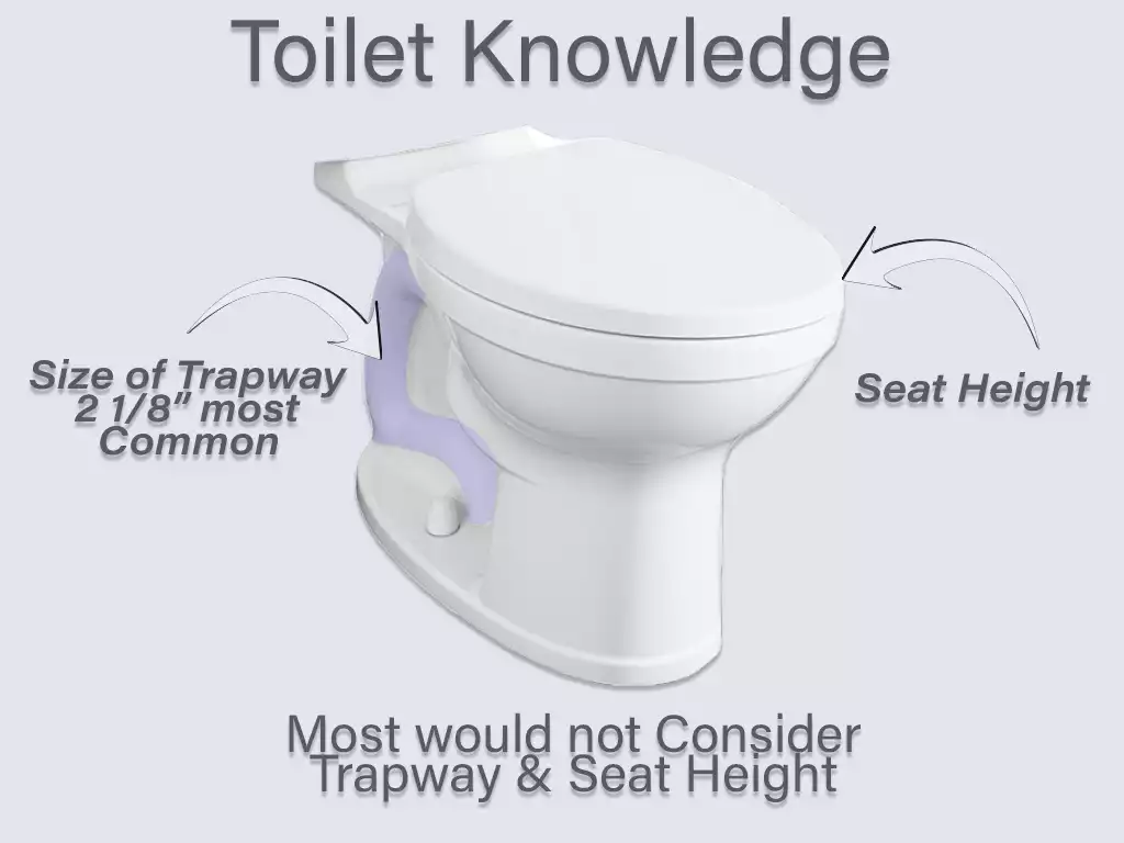 Toilet Mistakes